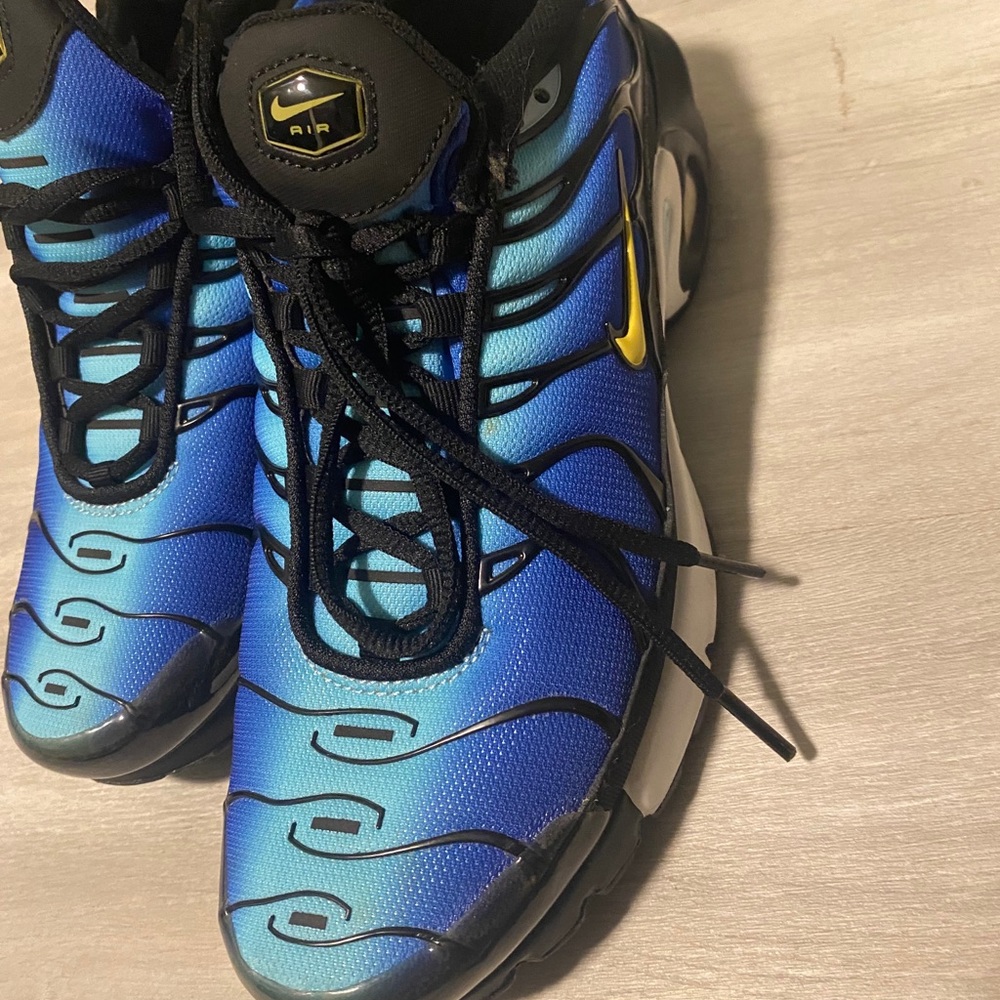 Nike Air Max plus OG Marathon